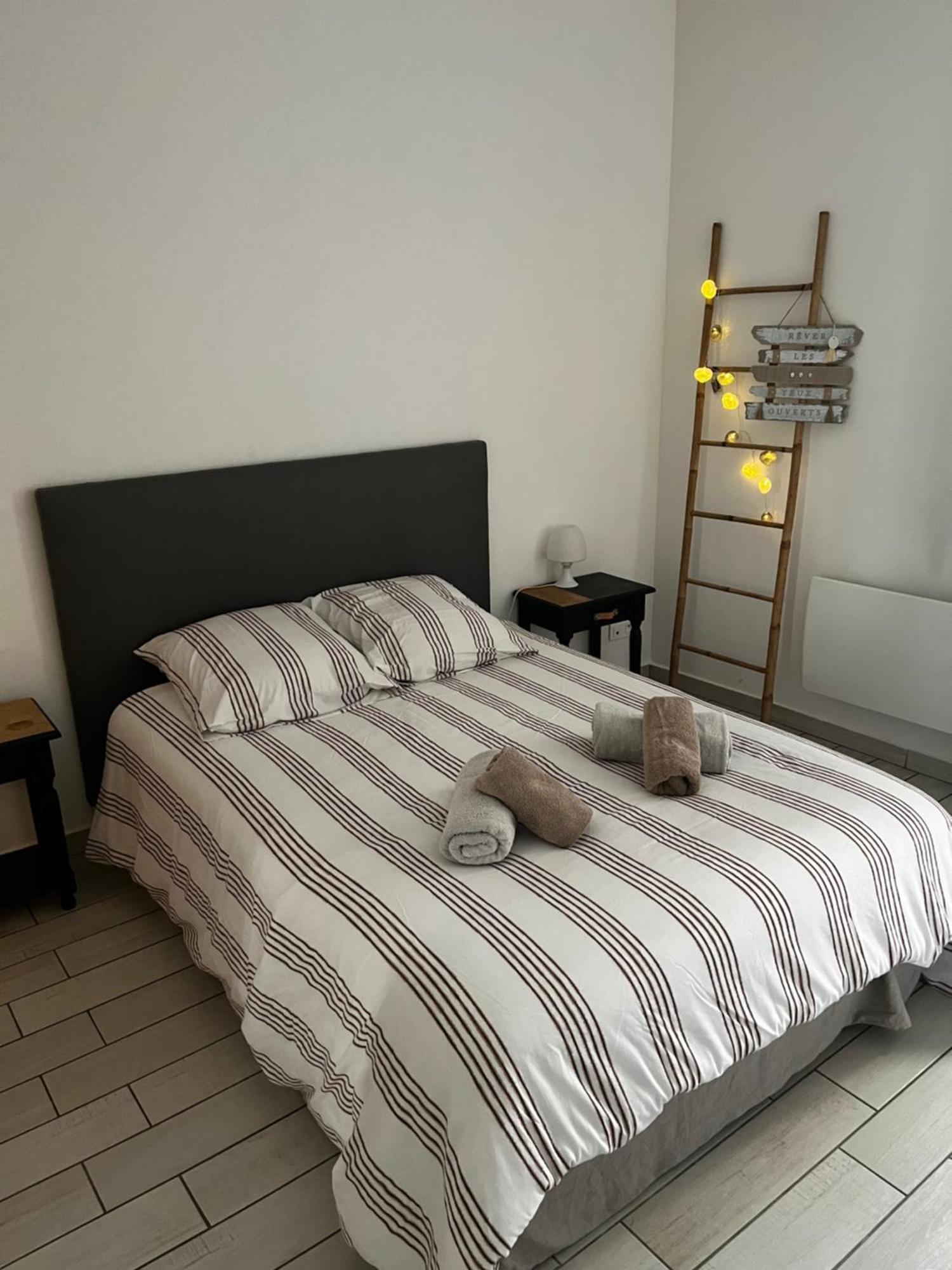 Joli Appartement Hypercentre T2, Classe Meuble De Tourisme 3 Avec Parking Gratuit بزييه المظهر الخارجي الصورة