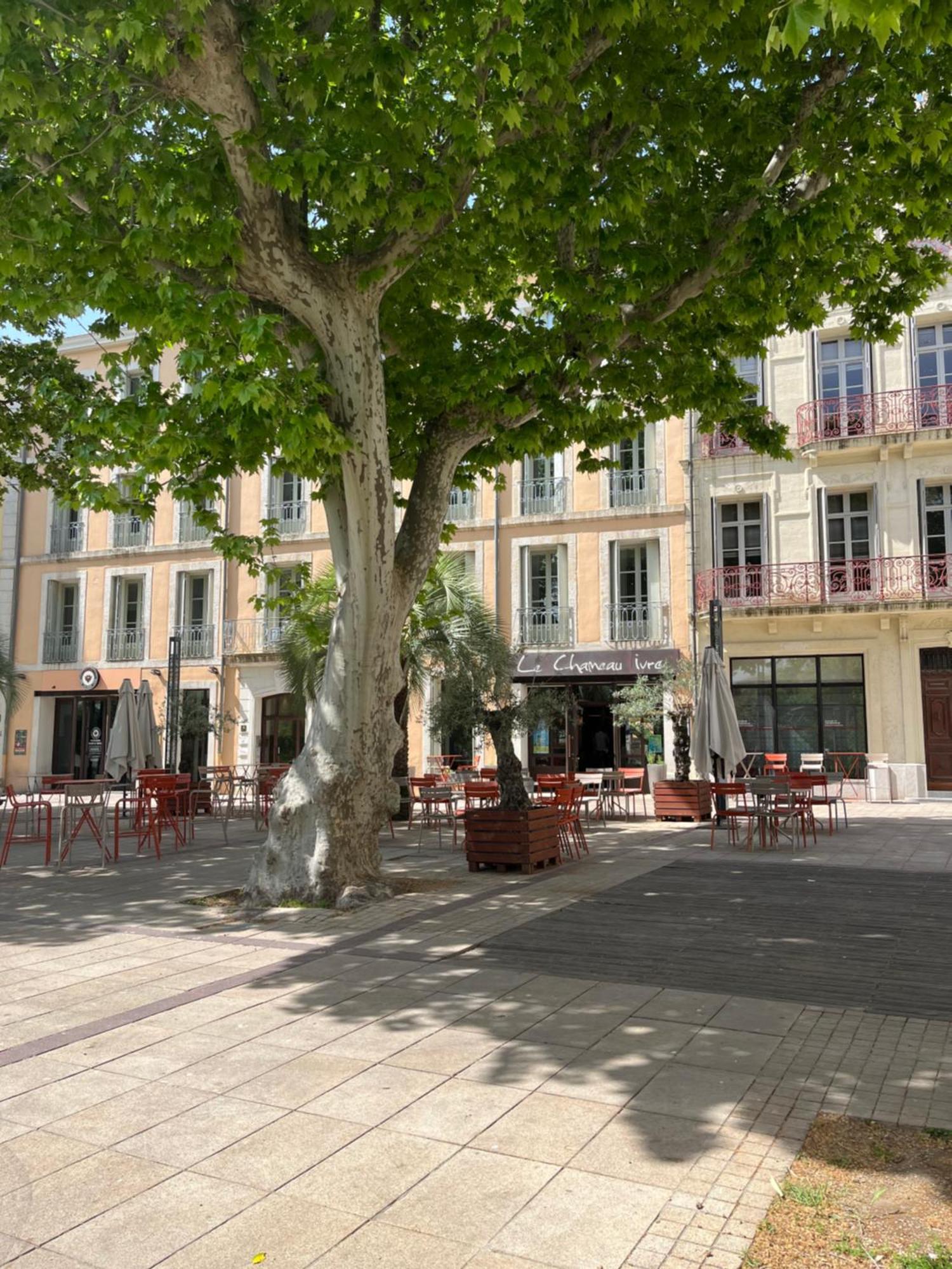 Joli Appartement Hypercentre T2, Classe Meuble De Tourisme 3 Avec Parking Gratuit بزييه المظهر الخارجي الصورة